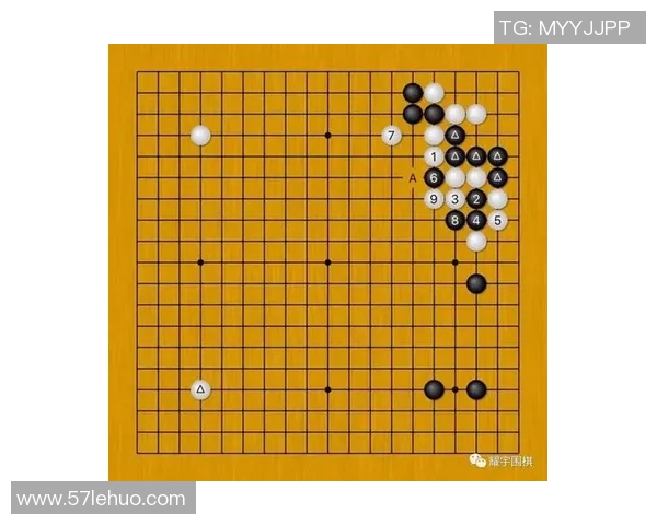 杨伟深度解析排球技巧与心得分享助你提升竞技水平